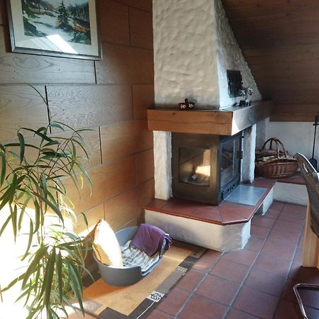 Aussergewoehnliche Atelierferienwohnung Mit Balkon An Der Donau Winzer エクステリア 写真