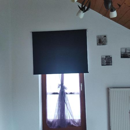 Aussergewoehnliche Atelierferienwohnung Mit Balkon An Der Donau Winzer エクステリア 写真