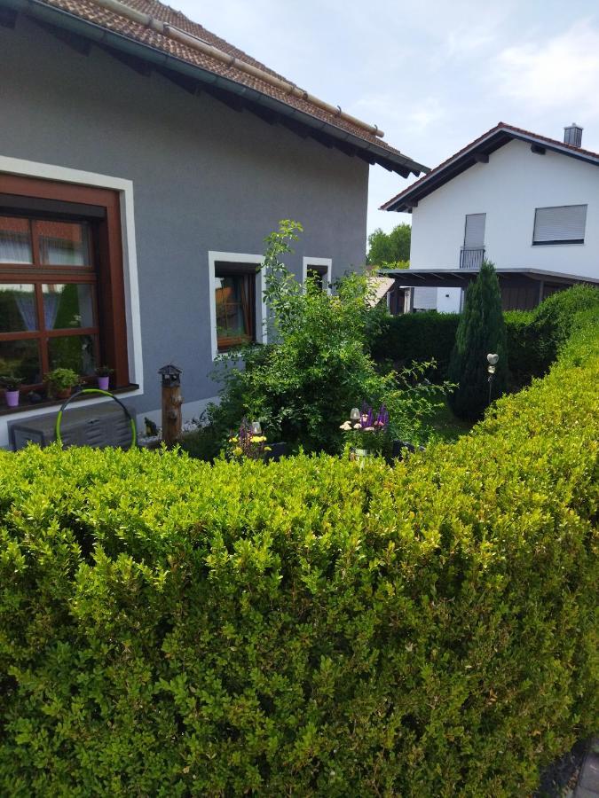 Aussergewoehnliche Atelierferienwohnung Mit Balkon An Der Donau Winzer エクステリア 写真