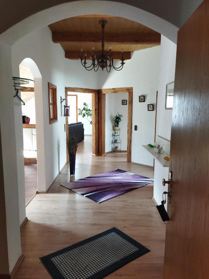 Aussergewoehnliche Atelierferienwohnung Mit Balkon An Der Donau Winzer エクステリア 写真