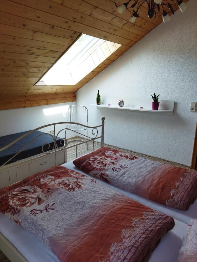 Aussergewoehnliche Atelierferienwohnung Mit Balkon An Der Donau Winzer エクステリア 写真