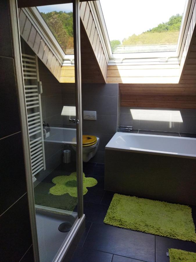 Aussergewoehnliche Atelierferienwohnung Mit Balkon An Der Donau Winzer エクステリア 写真