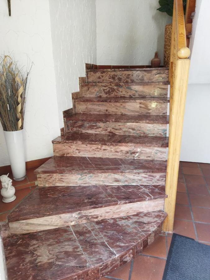 Aussergewoehnliche Atelierferienwohnung Mit Balkon An Der Donau Winzer エクステリア 写真