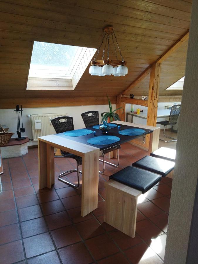 Aussergewoehnliche Atelierferienwohnung Mit Balkon An Der Donau Winzer エクステリア 写真