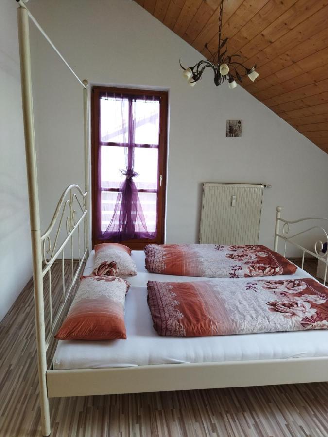 Aussergewoehnliche Atelierferienwohnung Mit Balkon An Der Donau Winzer エクステリア 写真