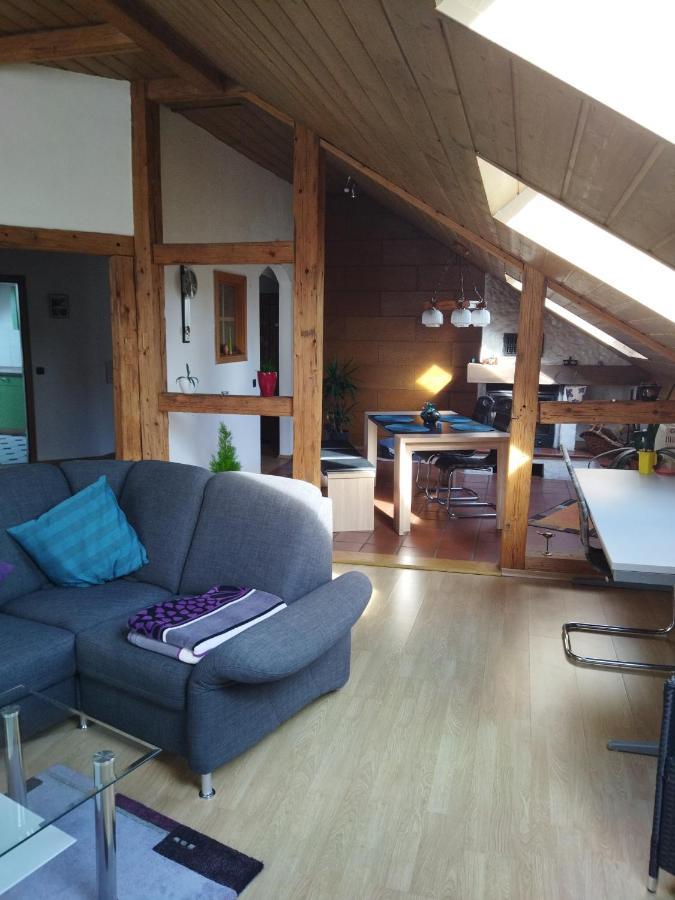 Aussergewoehnliche Atelierferienwohnung Mit Balkon An Der Donau Winzer エクステリア 写真