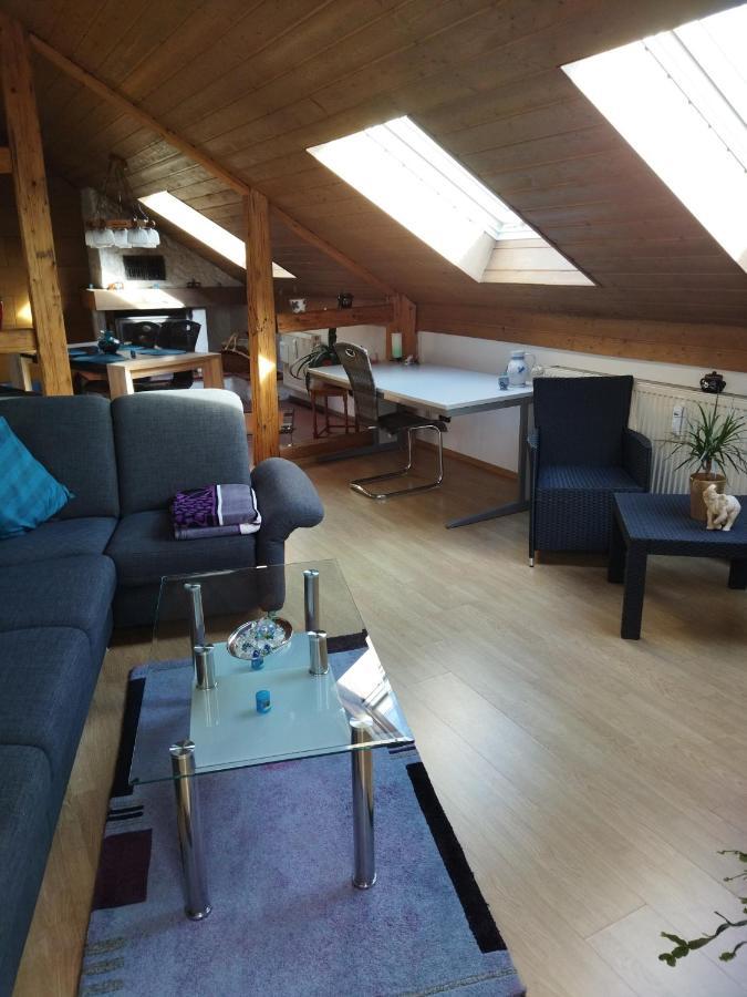 Aussergewoehnliche Atelierferienwohnung Mit Balkon An Der Donau Winzer エクステリア 写真