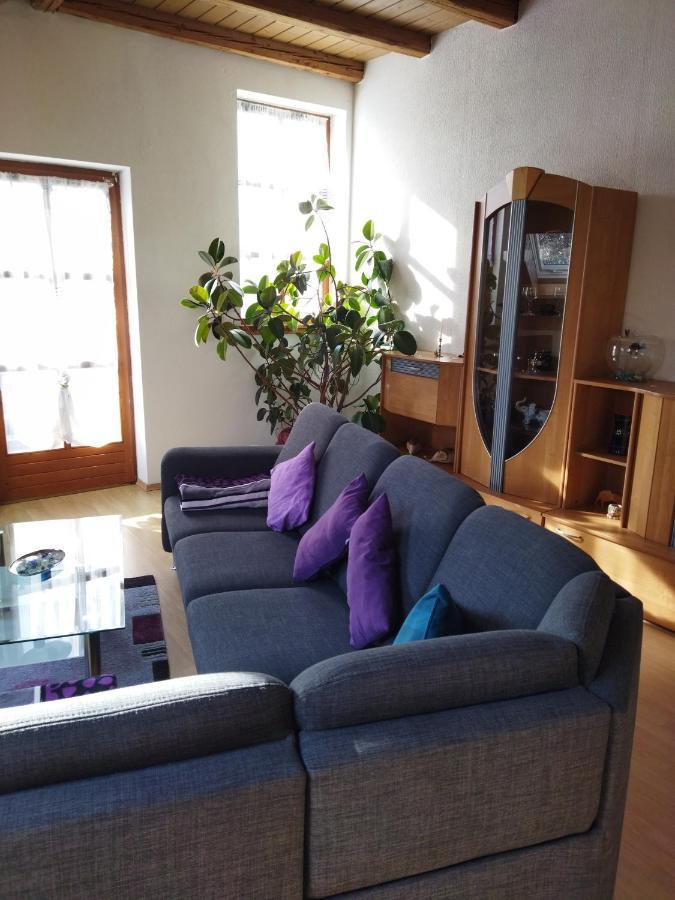 Aussergewoehnliche Atelierferienwohnung Mit Balkon An Der Donau Winzer エクステリア 写真