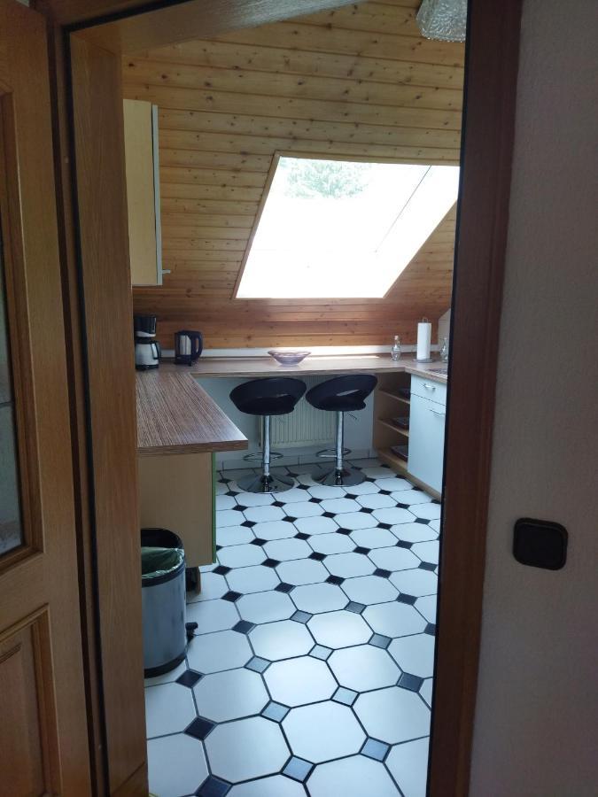 Aussergewoehnliche Atelierferienwohnung Mit Balkon An Der Donau Winzer エクステリア 写真