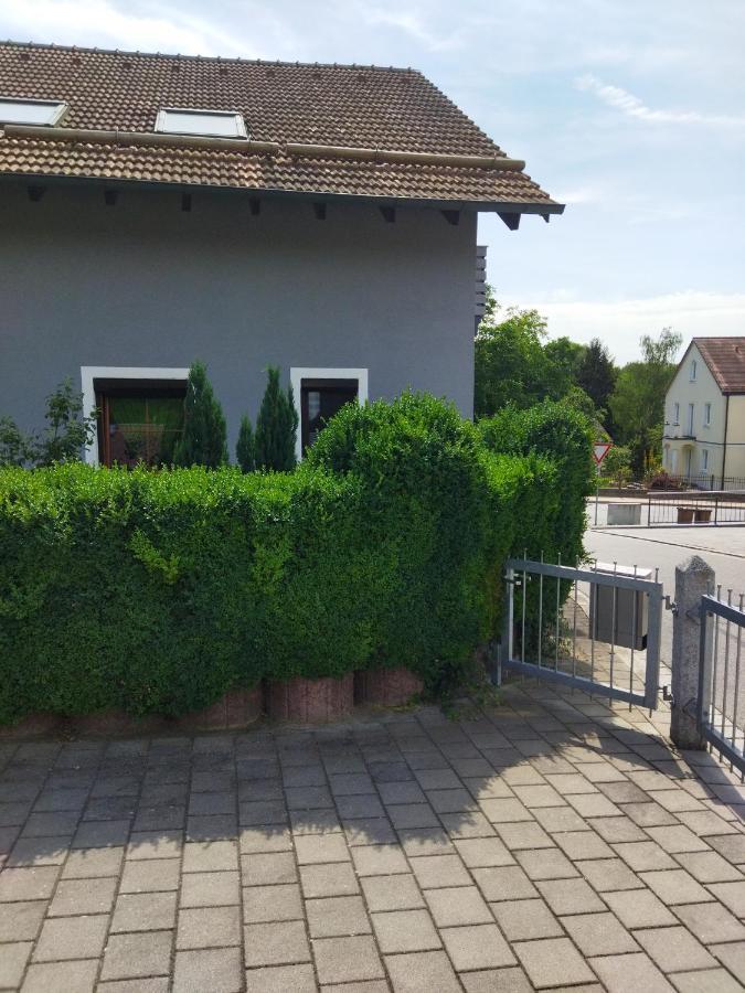 Aussergewoehnliche Atelierferienwohnung Mit Balkon An Der Donau Winzer エクステリア 写真