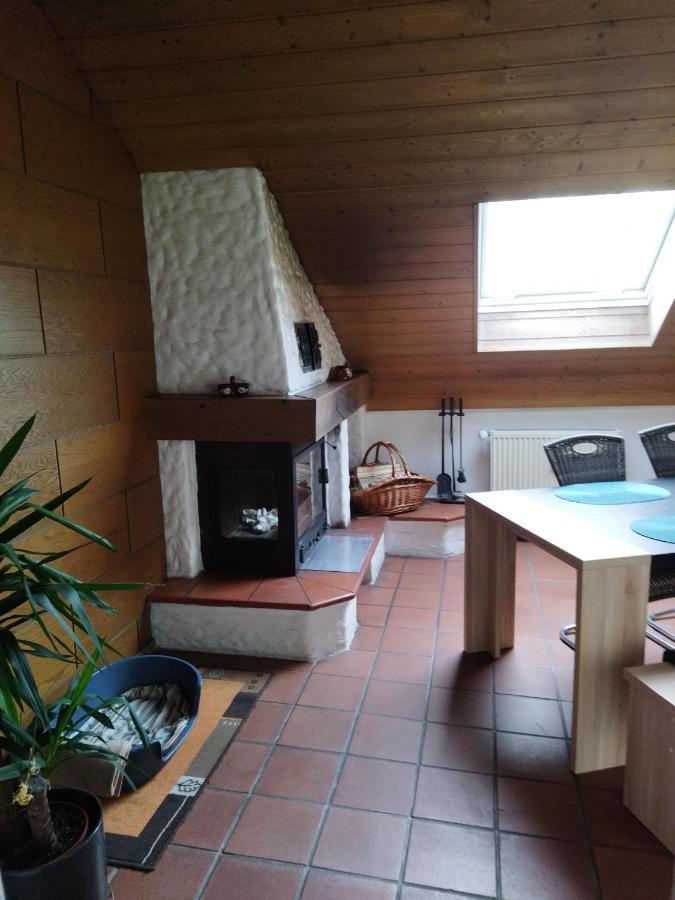 Aussergewoehnliche Atelierferienwohnung Mit Balkon An Der Donau Winzer エクステリア 写真
