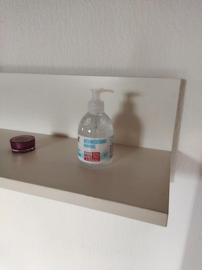 Aussergewoehnliche Atelierferienwohnung Mit Balkon An Der Donau Winzer エクステリア 写真