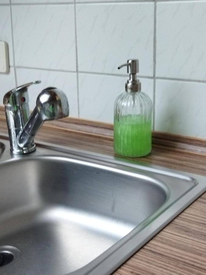 Aussergewoehnliche Atelierferienwohnung Mit Balkon An Der Donau Winzer エクステリア 写真