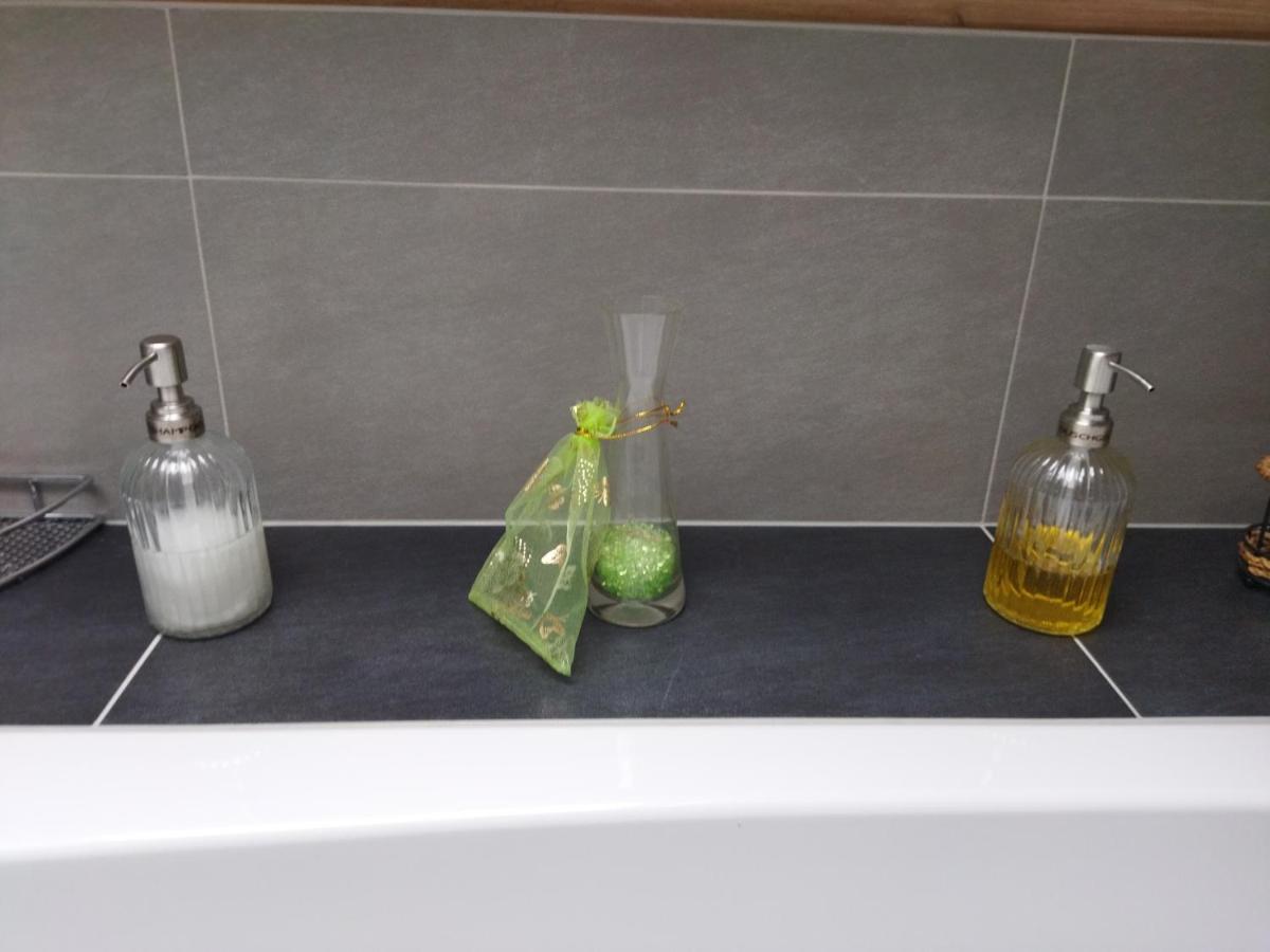 Aussergewoehnliche Atelierferienwohnung Mit Balkon An Der Donau Winzer エクステリア 写真