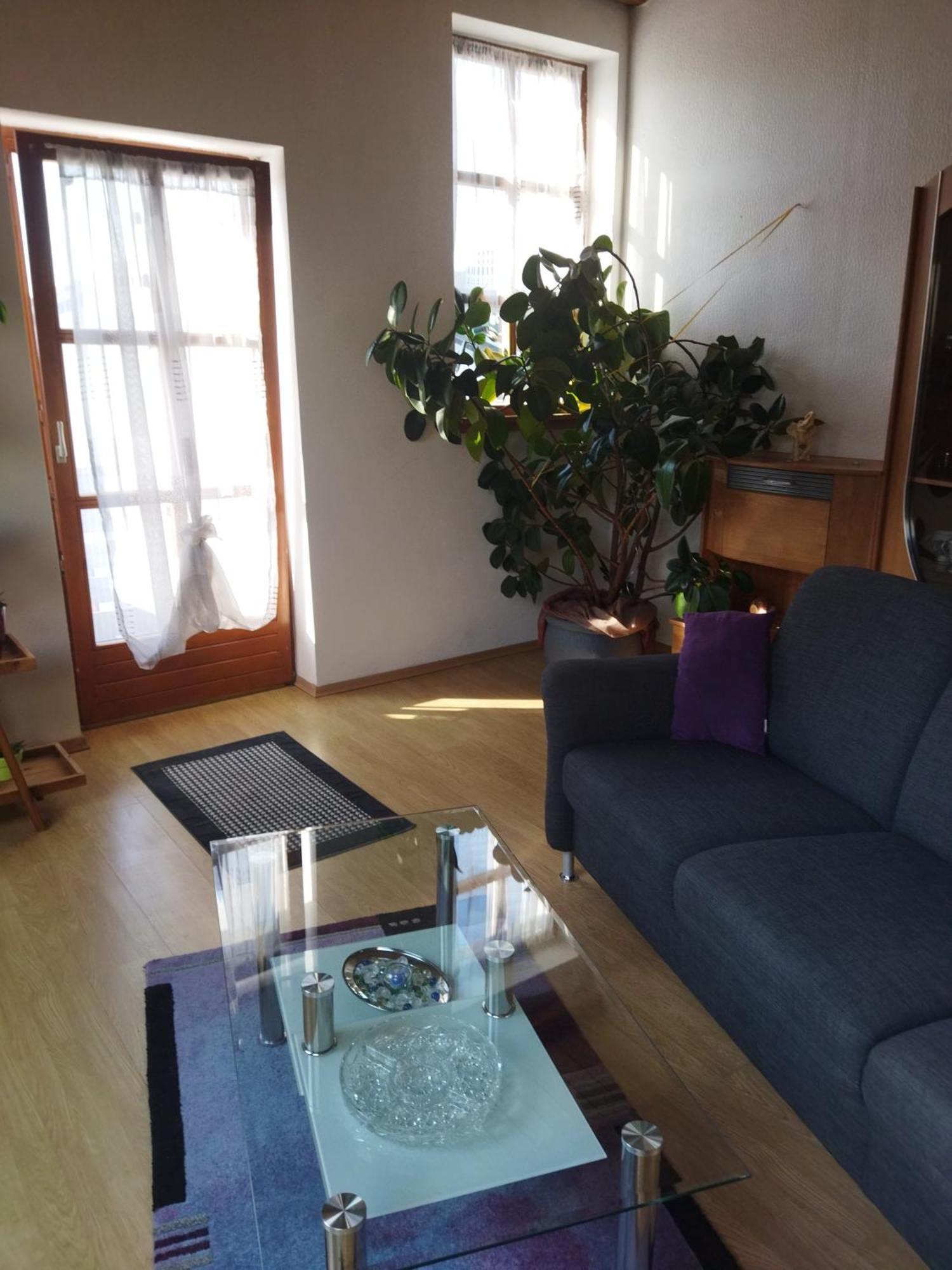 Aussergewoehnliche Atelierferienwohnung Mit Balkon An Der Donau Winzer エクステリア 写真