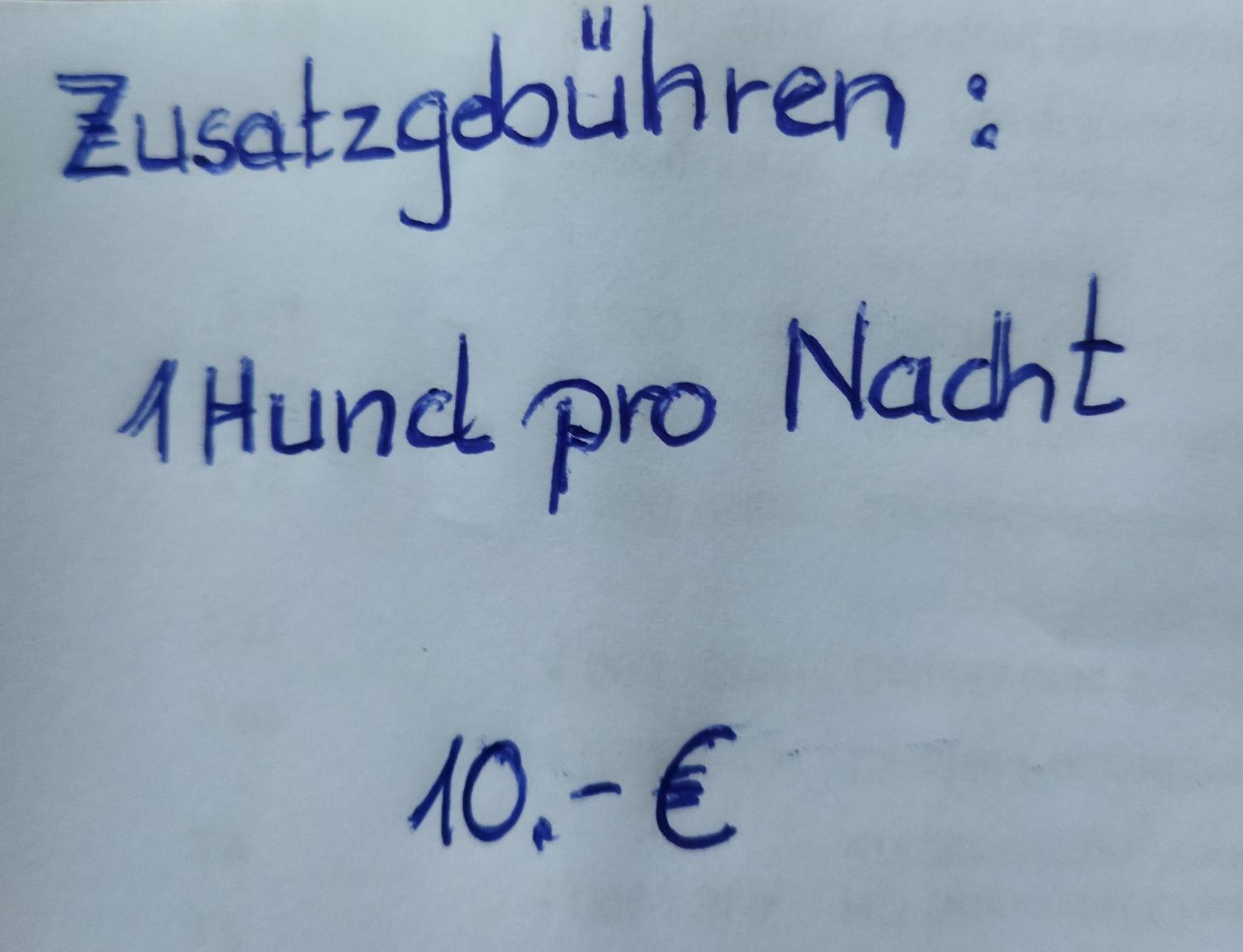 Aussergewoehnliche Atelierferienwohnung Mit Balkon An Der Donau Winzer エクステリア 写真